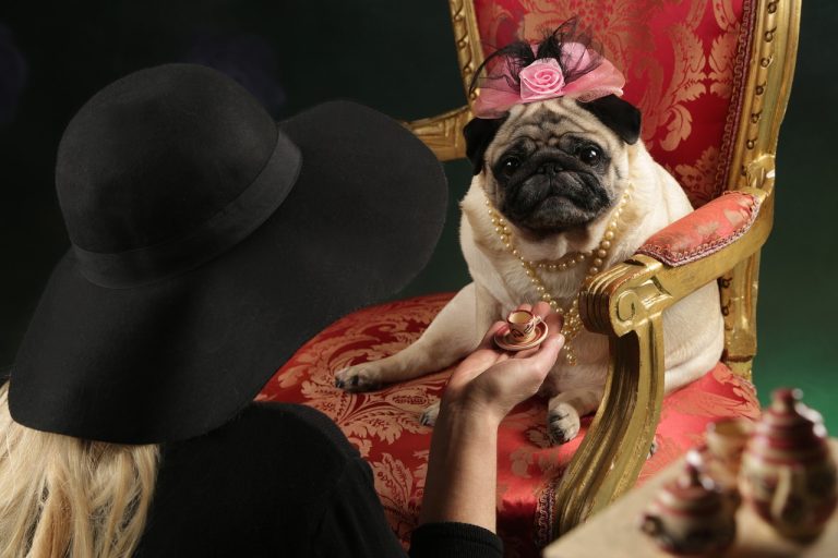 festivalul pestelui braila