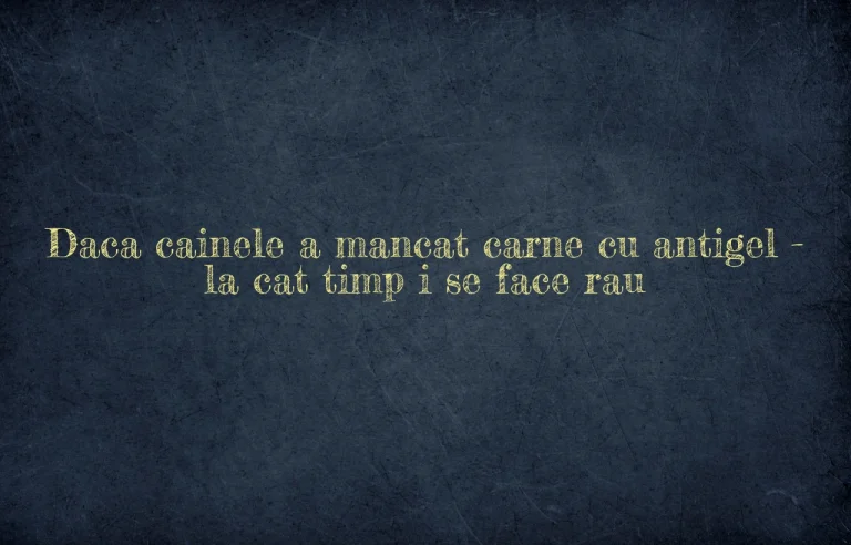 daca cainele a mancat carne cu antigel la cat timp i se face rau