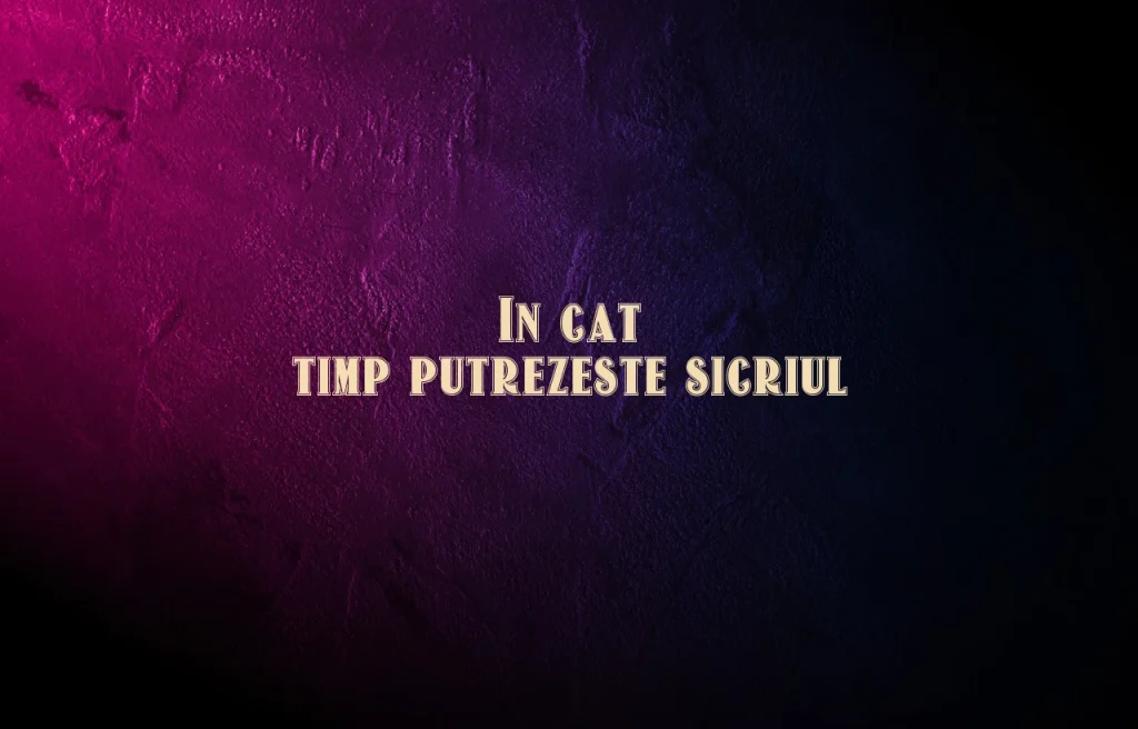 in cat timp putrezeste sicriul